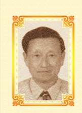 ������_ᄾƹ���